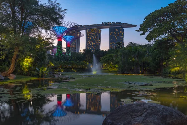 Singapore February Supertree Grove Garden Bay Night February 2020 Singapore — Stock Photo, Image