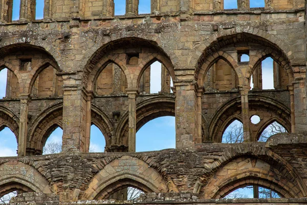 Jedburgh Abbey Ruiner Århundrede Skotske Grænser - Stock-foto