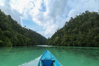 POV on the kayak on the Green river through the dense jungle inthe frorest of Raja Ampat, West Papua province, Indonesia