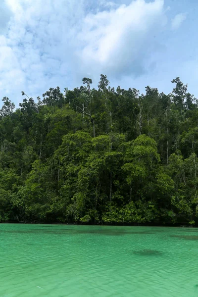 Río Verde Través Densa Selva Extremo Más Frágil Raja Ampat —  Fotos de Stock