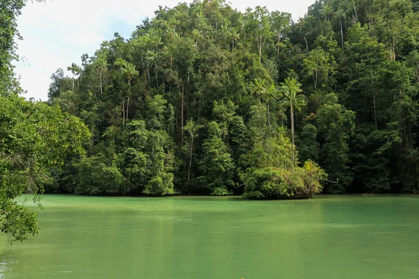 Río Verde Través Densa Selva Extremo Más Frágil Raja Ampat — Foto de Stock