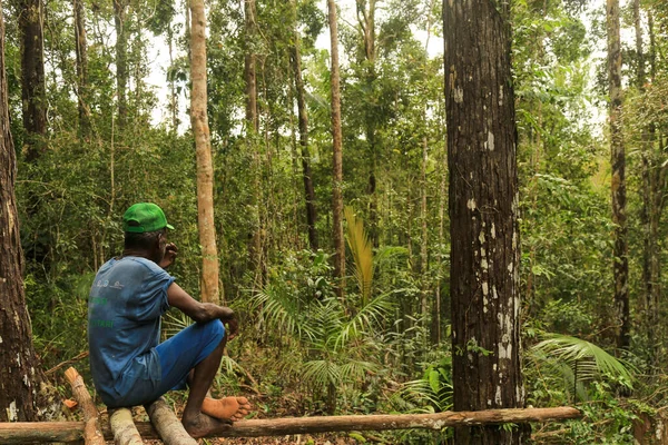 Indonesien Führer Auf Der Vogelbeobachtungstour Durch Den Dichten Dschungel Inmitten — Stockfoto