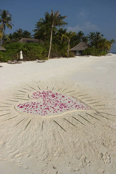 Mensagem Amor Areia Coração Com Pétalas Uma Ilha Tropical — Fotografia de Stock