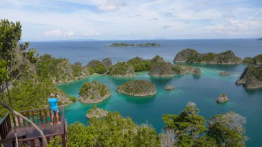 Cennet ve uzak adalar. Piaynemo Lagoon, Fam Archipelago, Kuzey Raja Ampat, Endonezya 'nın en güzel ve el değmemiş göllerinden biri.