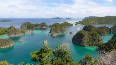 heavenly and remote islands. Piaynemo Lagoon, Fam Archipelago, North Raja Ampat, one of the most beautiful and pristine lagoon in Indonesia clipart
