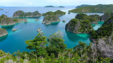 Cennet ve uzak adalar. Piaynemo Lagoon, Fam Archipelago, Kuzey Raja Ampat, Endonezya 'nın en güzel ve el değmemiş göllerinden biri.