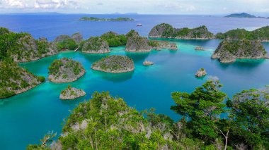 Cennet ve uzak adalar. Piaynemo Lagoon, Fam Archipelago, Kuzey Raja Ampat, Endonezya 'nın en güzel ve el değmemiş göllerinden biri.