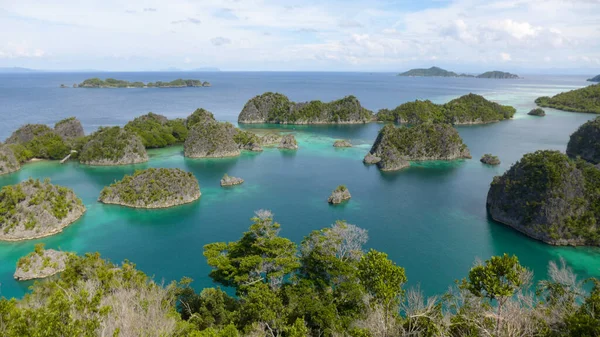 Небесні Віддалені Острови Piaynemo Lagoon Fam Archipelago North Raja Ampat — стокове фото