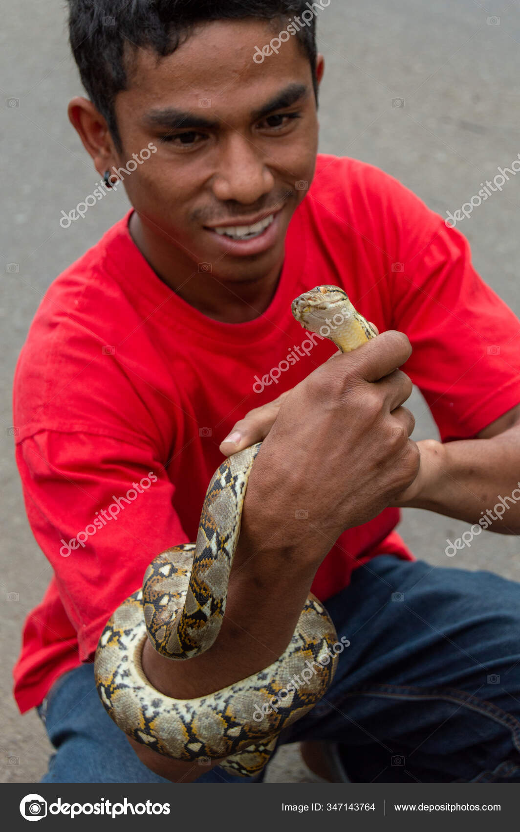 Indonesia Guy Holding Python Snake Reticulated Python Malayopython ...