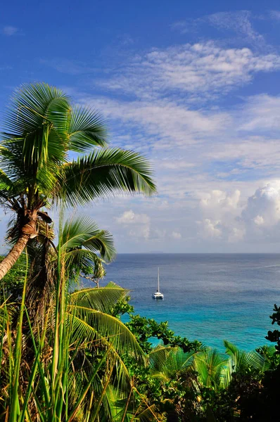 Catamarán Una Bahía Idílica Con Vegetación Verde Palmera Anse Cocos —  Fotos de Stock