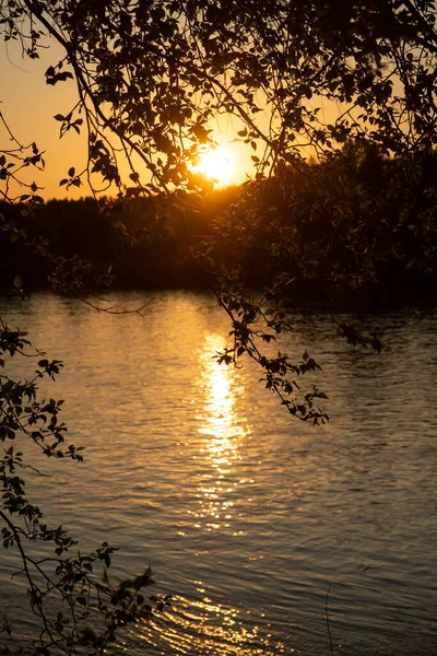 River Tree Sun Sunset Sky — Stock Photo, Image