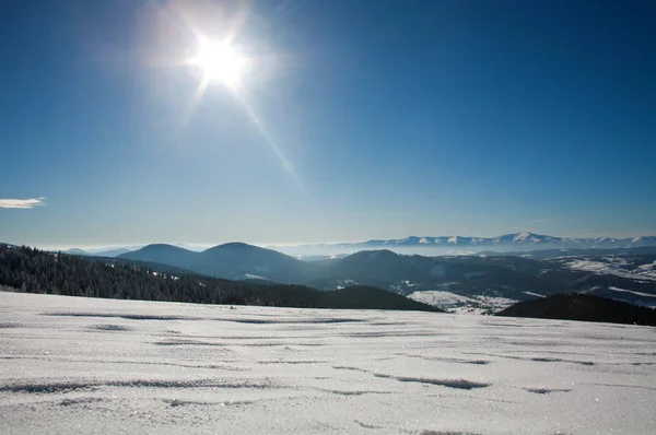 Invierno paisaje nieve montaña pinar bosque en sol — Foto de Stock