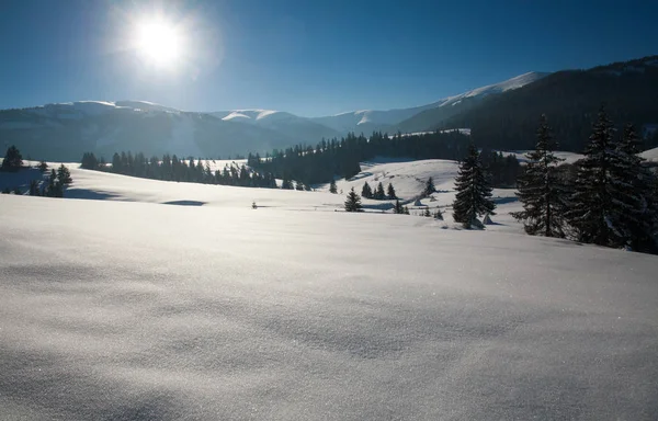 Invierno paisaje nevado de día soleado con cielo azul — Foto de Stock