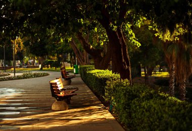 Tatil beldesi gündoğumu, parkta yeşil yaz
