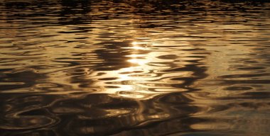 Altın soyut su arka plan, doğal fotoğraf, sığ derinlik-in tarla