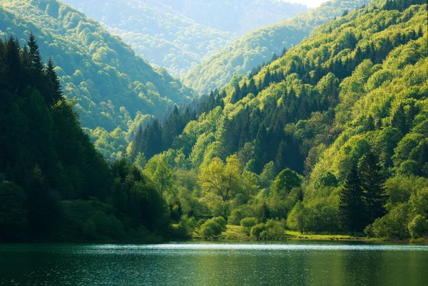 Litoral colorido de floresta de montanha por lago na luz solar da manhã — Fotografia de Stock