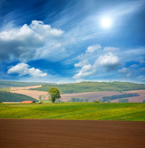 Ülke kuru sürülmüş dünya tarım yeşil tarım arazileri üzerinde mavi gökyüzü — Stok fotoğraf