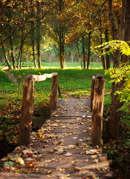 Antiguo puente de madera sobre el río con árboles de colores en el parque de otoño —  Fotos de Stock