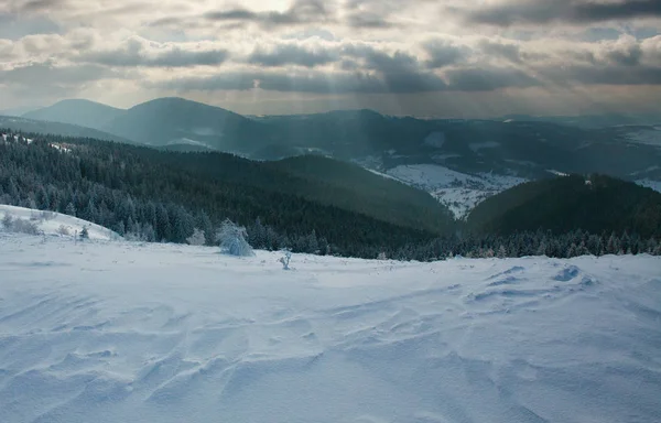 Paisaje invernal en las montañas bosque en el fondo del cielo — Foto de Stock