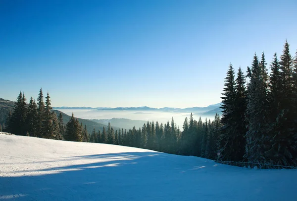 Paisaje de invierno por la mañana en las montañas, bosque de nieve en el cielo — Foto de Stock