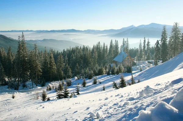 Rano zima krajobraz gór, śniegu lasu na niebo — Zdjęcie stockowe