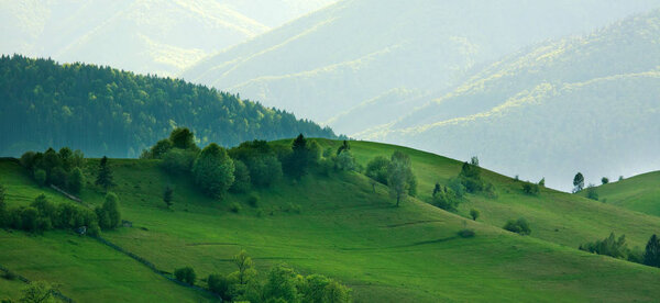 Rural summer landscape on green farm hill
