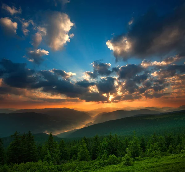 Dramatic sunset over mountains and green pine forest — Stock Photo, Image