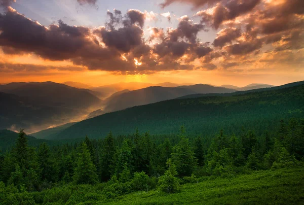 Драматический закат над горами и зеленым сосновым лесом — стоковое фото
