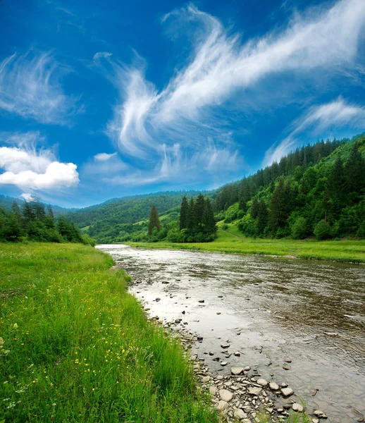 Rivier in de bergen en groene bloeiende veld op hemelachtergrond — Stockfoto