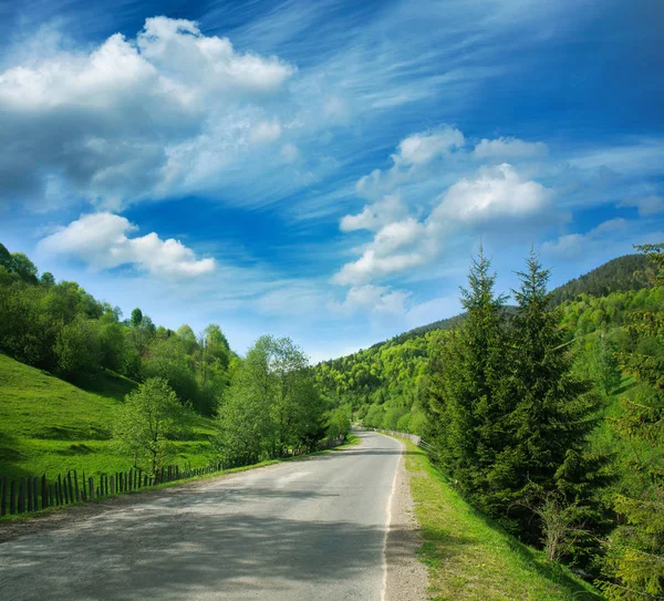 Strada asfaltata tra le montagne della foresta sul cielo drammatico — Foto Stock