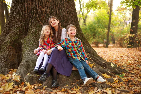 A companhia alegre de crianças senta-se despreocupada na árvore na floresta — Fotografia de Stock
