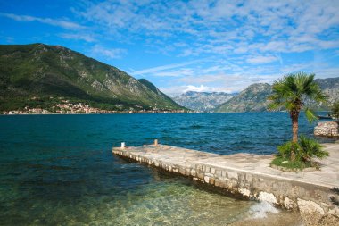 Kotor Körfezi 'nin yaz manzaralı dağları