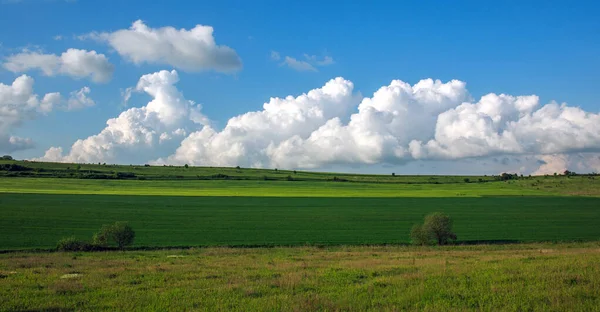 Mavi Gökyüzü Bulutların Arkasındaki Kırsal Alanda Yeşil Tarımsal Alan — Stok fotoğraf