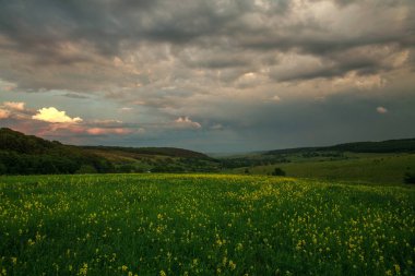 Vadideki dağların ve köyün tepelerinin arka planında çiçek açan yeşil çayırlar ve bulutlarla dolu gökyüzü.