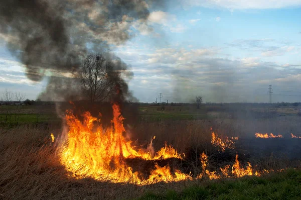 Firing arable fields with an ecological problem. Poland around Krakow in 2008.