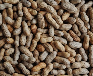 Fıstık, sağlıklı gıda, doğa ...