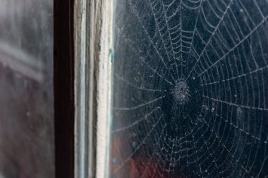 Penceredeki örümcek ağı