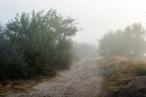 Sisin içinde kırsal yol