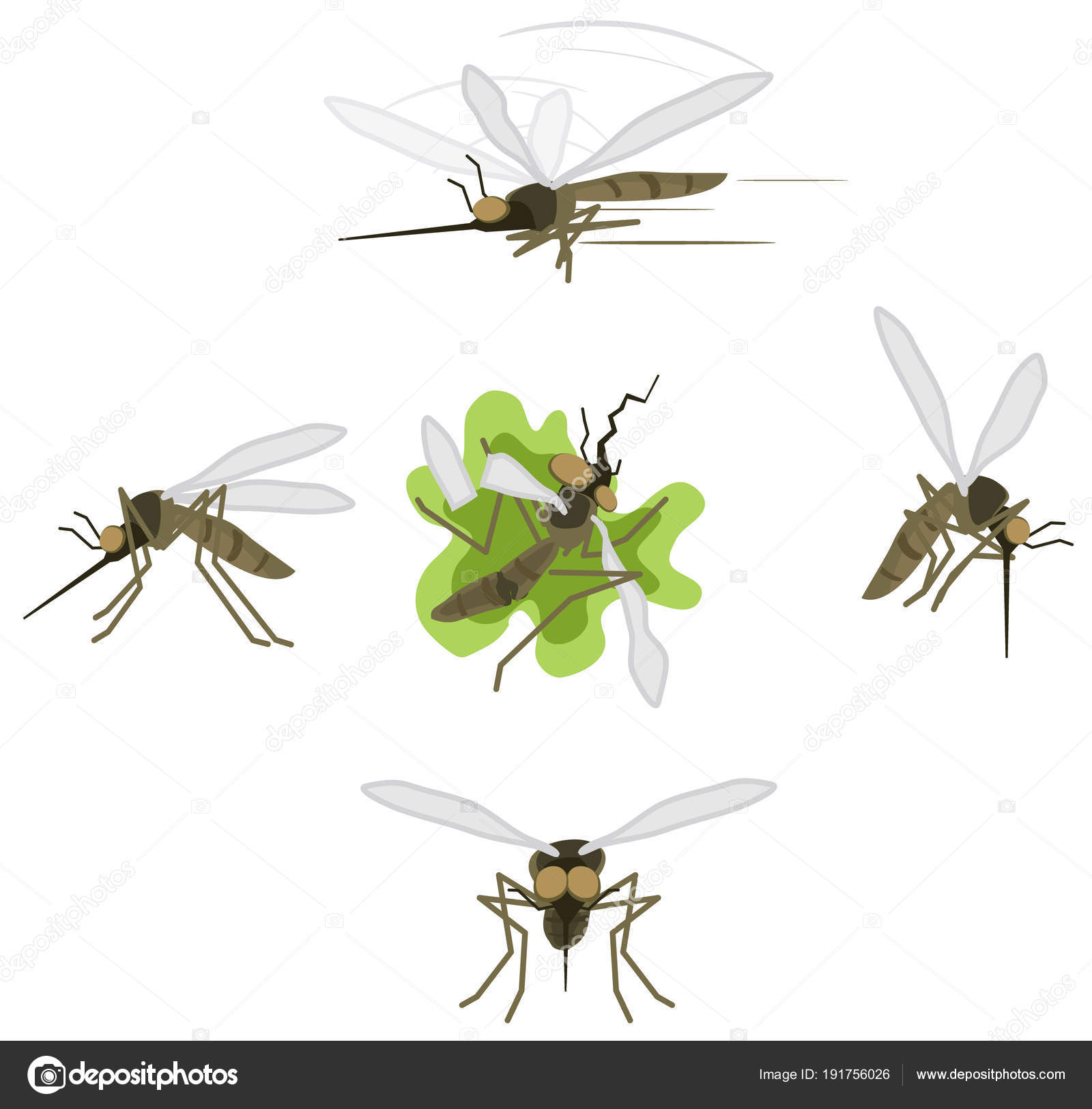 Dead mosquito Vector Art Stock Images | Depositphotos Dead mosquito Vector Art Stock Images | Depositphotos