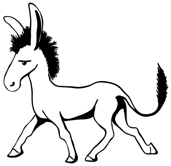 Donkey Line Cartoon — Stock Vector