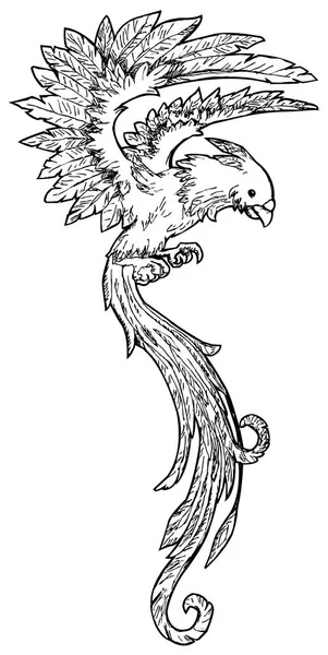 長い尾の鳥 — ストックベクタ
