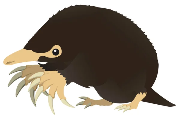 Mole cartoon — Stockvector