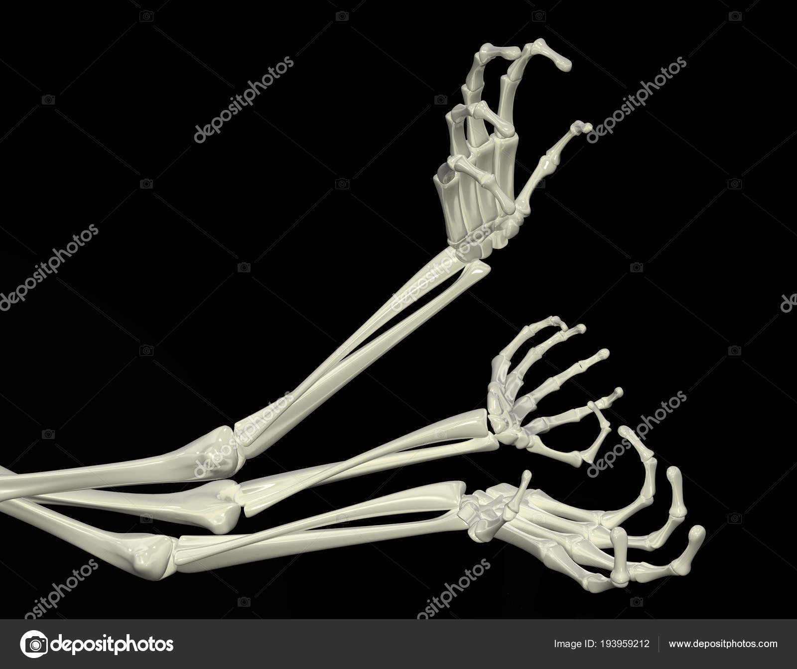 Skeleton Arm Reaching