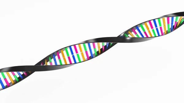 Rantai DNA — Stok Foto