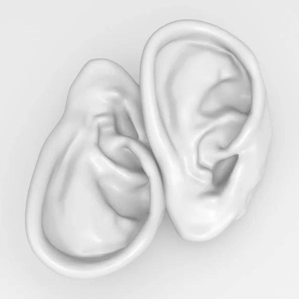 Ears — Stock Photo, Image