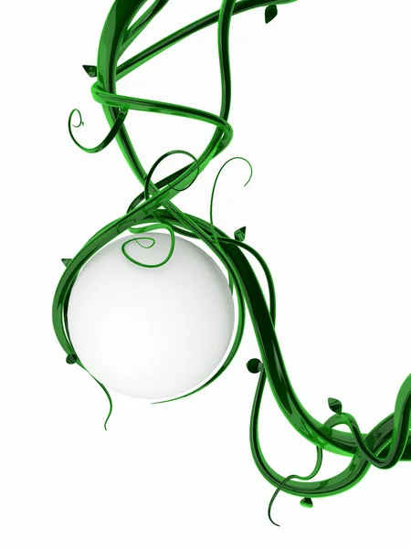 Yeşil üzüm, Küre