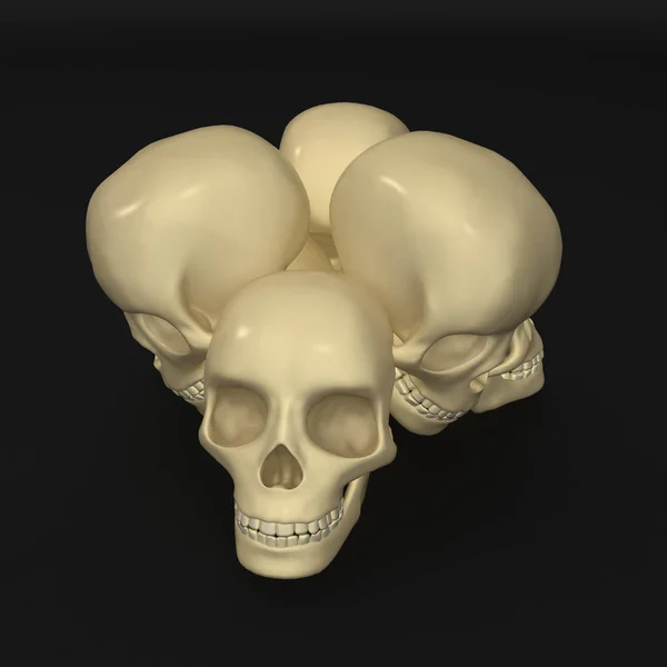 Crani — Foto Stock