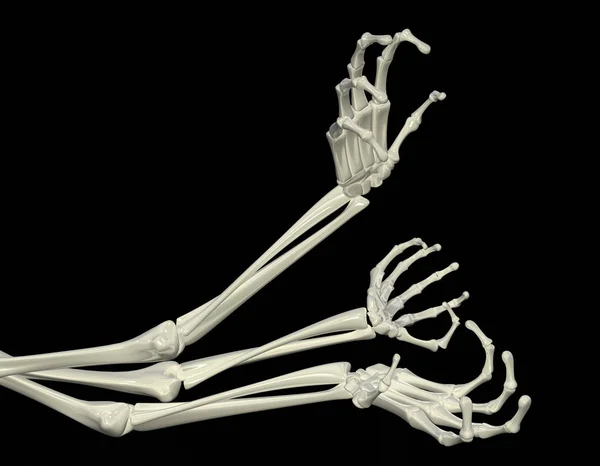 Skeletální zbraně — Stock fotografie