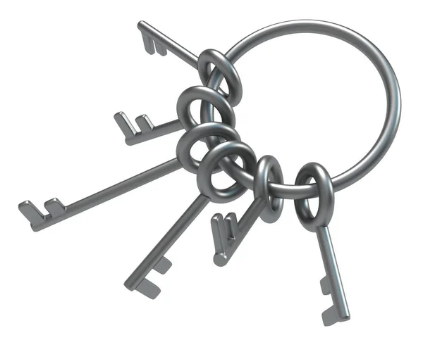 Keys Ring Metal — Stock Photo, Image