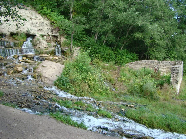 Slovinská Springs Nedaleko Pevnosti Izborsk — Stock fotografie